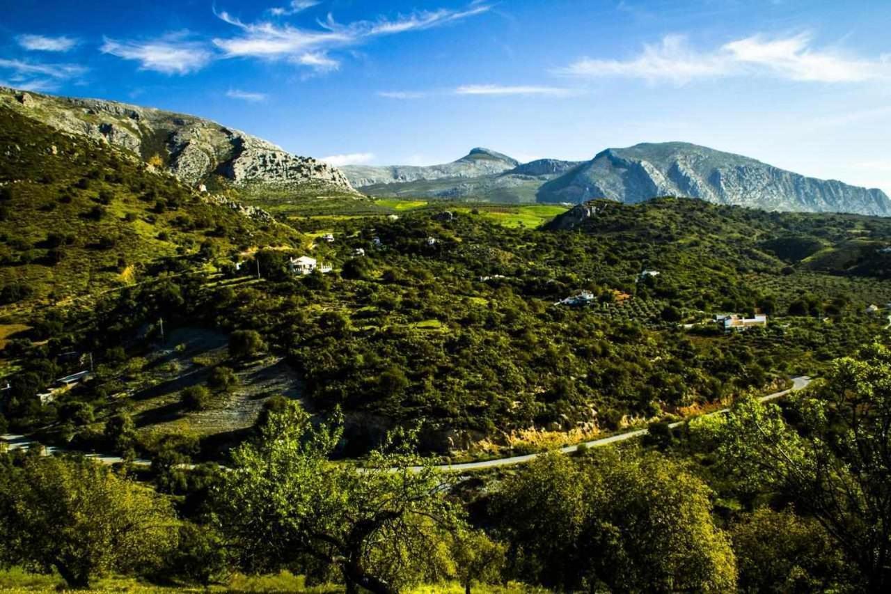 Casa Rural El Chaparro El Chorro Bagian luar foto